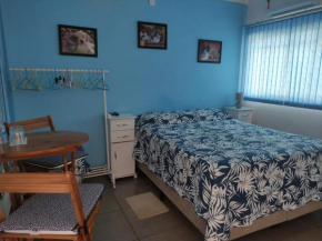 Lindo quarto c/ banheiro privativo